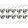 Vaillant oval head screw (10 pcs.) VC/VCW BW Class./Excl., VKK (burner)