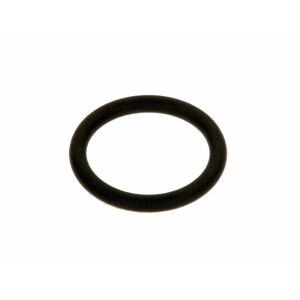 SIEGER Ersatzteil TTNR: 63045310 O-Ring 21x3,0 Shore70 Set 5 St everp