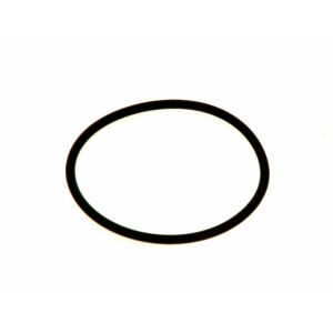 Bosch Ersatzteil O-Ring 66,27x3,53mm (2x) everp