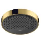 Hansgrohe Rainfinity overhead shower 250 (polished gold...