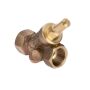 Bender non-return valve type 3701 with inspection connection, female thread, red bronze