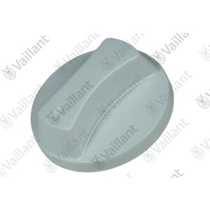 Vaillant button