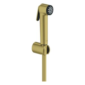 Grohe 27513GN1