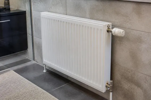 Heizkörper mit Thermostatventil und Entlüftungsventil