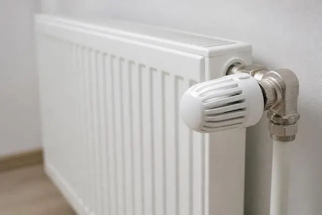 Thermostatkopf an einem Heizkörper