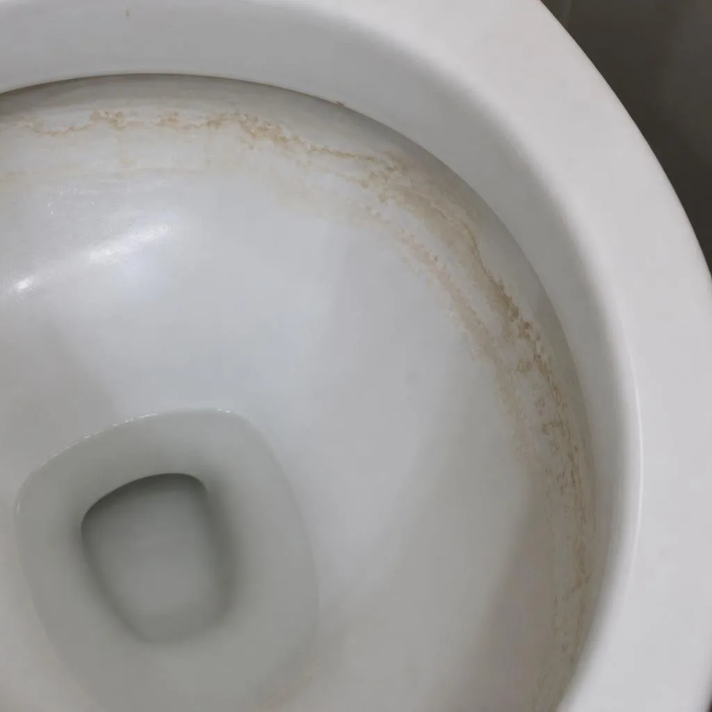 Nahaufnahme von Ablagerungen im WC-Becken